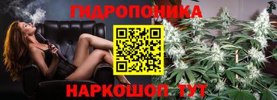 jwh Обь